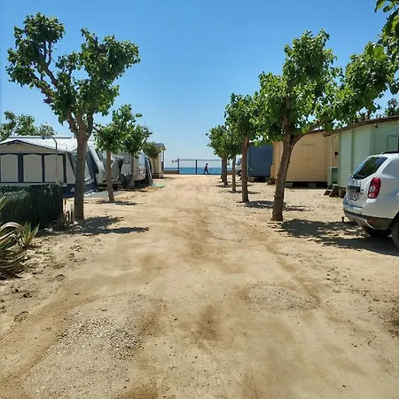 캠프장 El Pinar Platja 3*